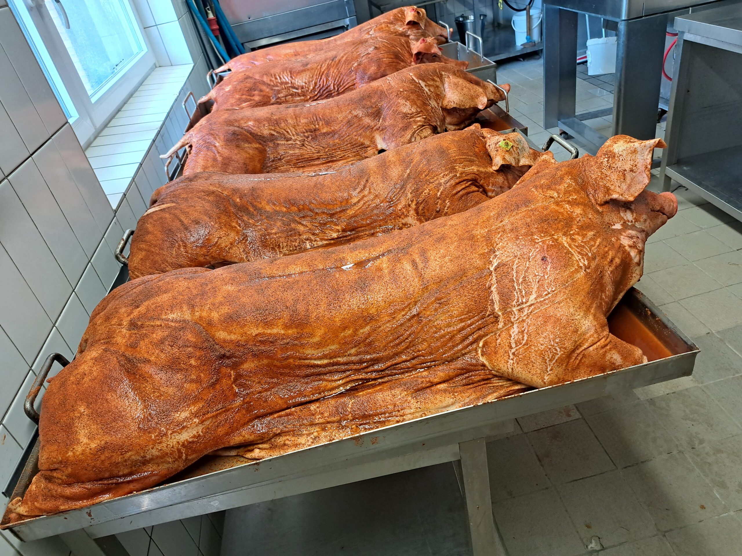 e9f2d813-471d-4c8a-b675-526a4de097b3